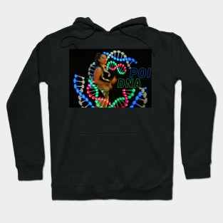 Poi DNA Flow Jonglage Artist Hoodie